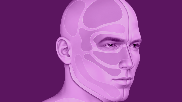 nevralgie trijumeau zones visage 1 nevralgie trijumeau zones visage 1